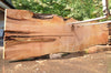 Big Leaf Maple Slab 082422-06