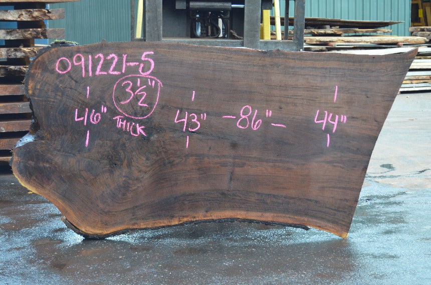 Oregon Black Walnut Slab 091221-05