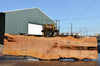 Big Leaf Maple Slab 082422-06