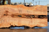 Big Leaf Maple Slab 082422-06