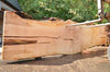 Big Leaf Maple Slab 082422-07