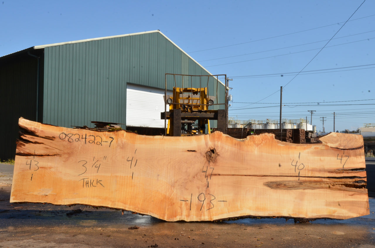 Big Leaf Maple Slab 082422-07