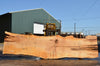 Big Leaf Maple Slab 082422-07