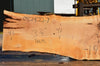 Big Leaf Maple Slab 082422-07