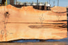 Big Leaf Maple Slab 082422-07
