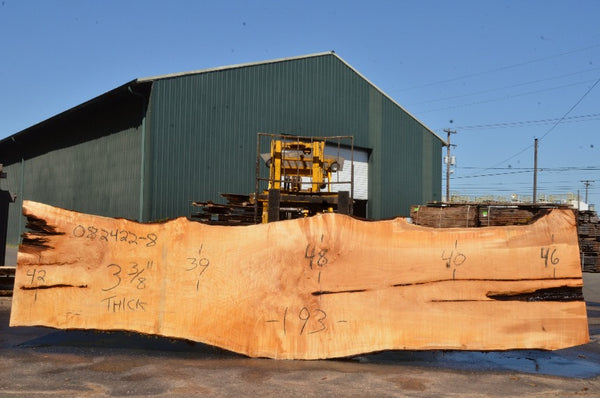 Big Leaf Maple Slab 082422-08