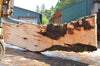 Big Leaf Maple Slab 082422-09