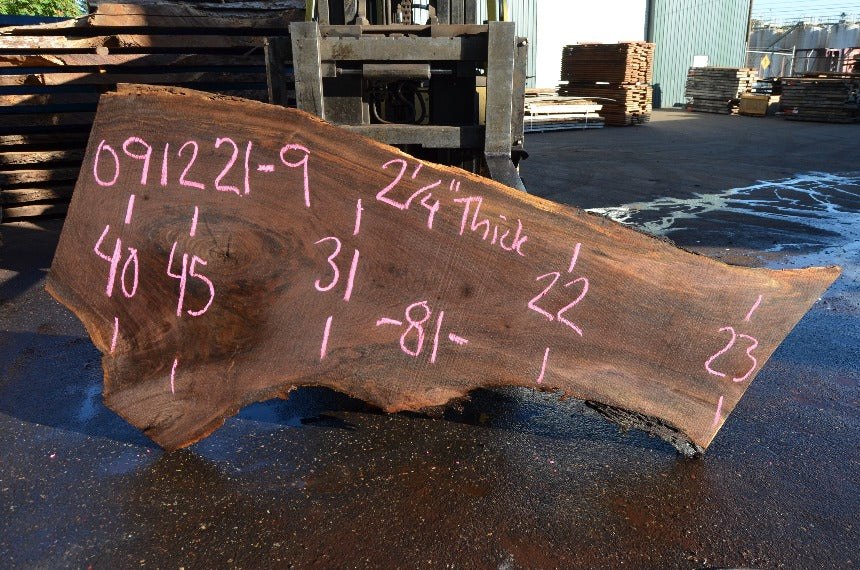 Oregon Black Walnut Slab 091221-09