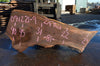 Oregon Black Walnut Slab 091221-09