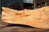 Big Leaf Maple Slab 082422-09
