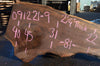 Oregon Black Walnut Slab 091221-09
