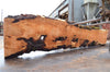 Big Leaf Maple Slab 082422-10
