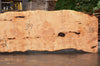Big Leaf Maple Slab 082422-10