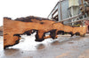 Big Leaf Maple Slab 082422-11