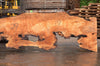 Big Leaf Maple Slab 082422-11