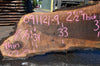 Oregon Black Walnut Slab 091121-09