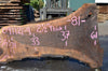 Oregon Black Walnut Slab 091121-09