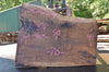 Oregon Black Walnut Slab 082622-04