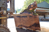Oregon Black Walnut Slab 082622-05