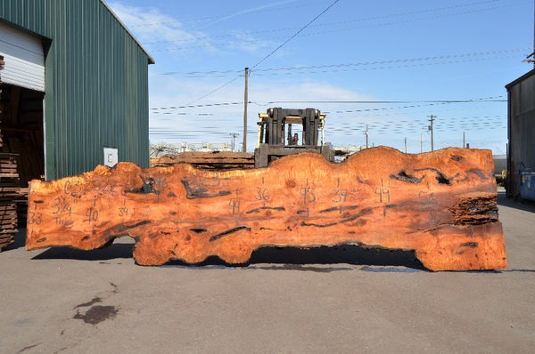 Big Leaf Maple Slab 032522-06