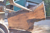Oregon Black Walnut Slab 082622-09