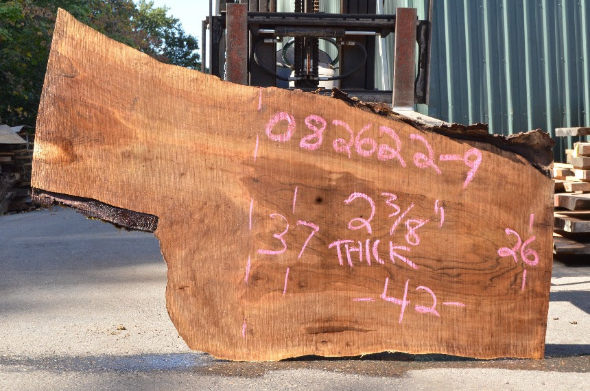 Oregon Black Walnut Slab 082622-09