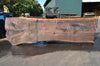 Oregon Black Walnut Slab 091521-02