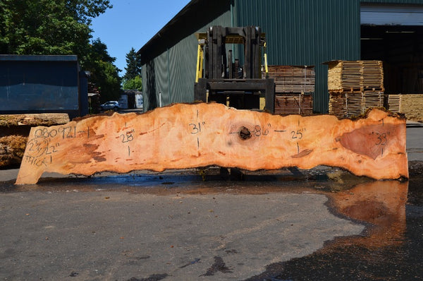 Big Leaf Maple Slab 080921-01