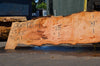Big Leaf Maple Slab 080921-01