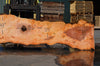 Big Leaf Maple Slab 080921-01