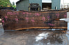 Oregon Black Walnut Slab 091521-04
