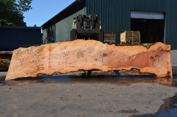 Big Leaf Maple Slab 080921-02