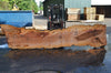 Big Leaf Maple Slab 080921-06