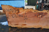 Big Leaf Maple Slab 080921-06