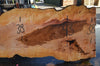 Big Leaf Maple Slab 080921-06