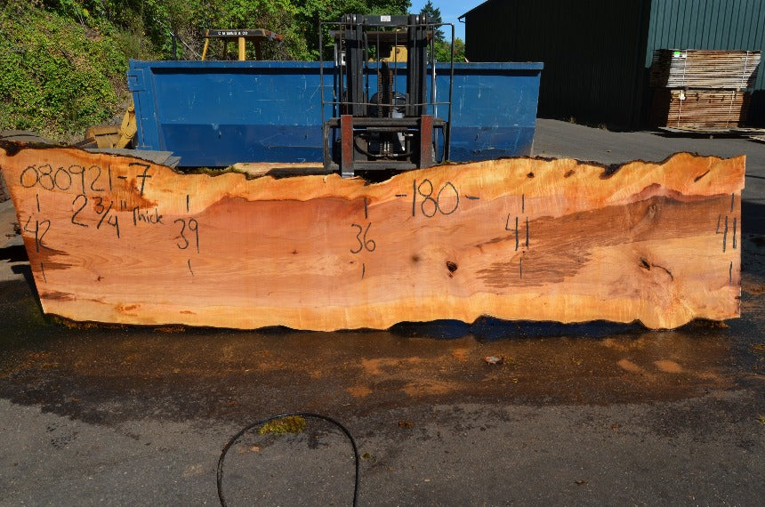 Big Leaf Maple Slab 080921-07