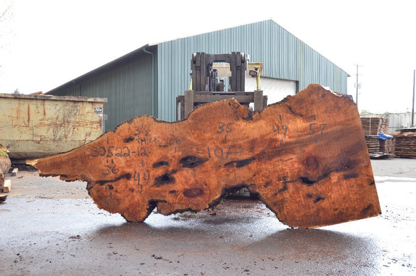 Big Leaf Maple Slab 032522-12