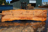 Big Leaf Maple Slab 080921-10