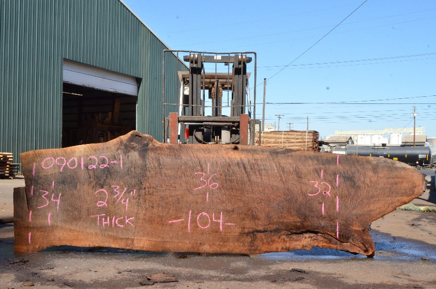 Oregon Black Walnut Slab 090122-01