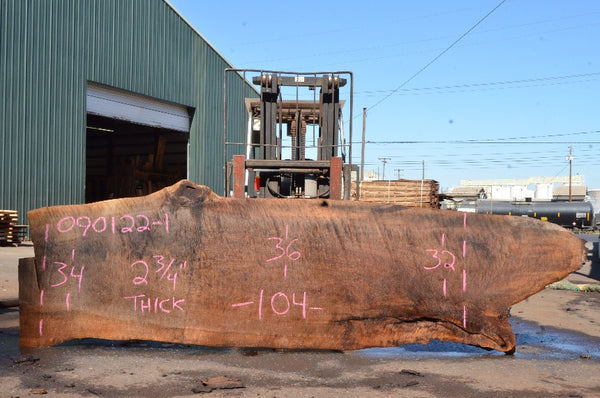 Oregon Black Walnut Slab 090122-01