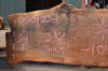 Oregon Black Walnut Slab 090122-01
