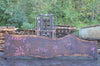 Oregon Black Walnut Slab 090122-02