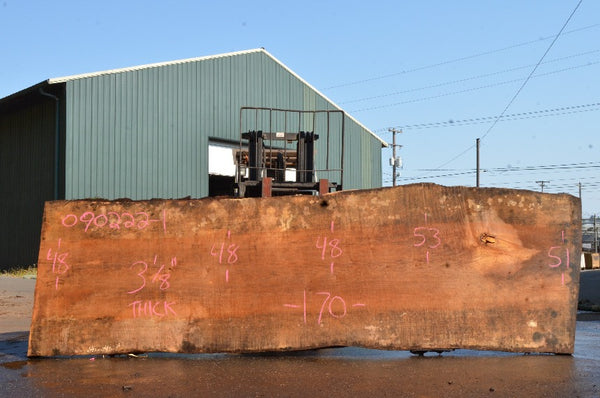 Big Leaf Maple Slab 090222-01