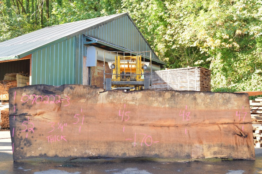Big Leaf Maple Slab 090222-03