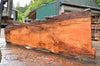 Oregon Fir Slab 071322-03
