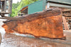 Oregon Fir Slab 071322-04