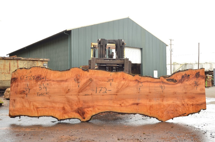 Big Leaf Maple Slab 032922-01