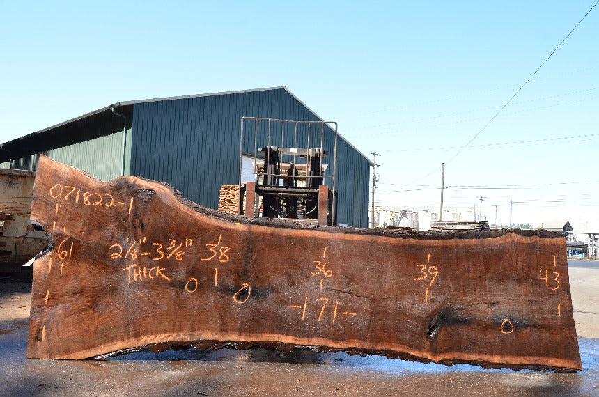 Oregon Black Walnut Slab 071822-01