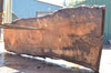 Big Leaf Maple Slab 090222-05
