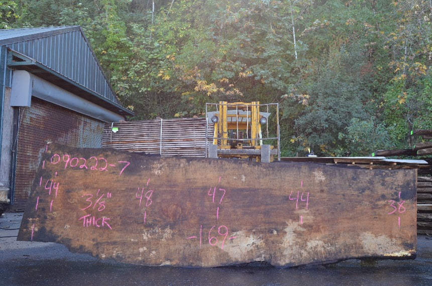 Big Leaf Maple Slab 090222-07
